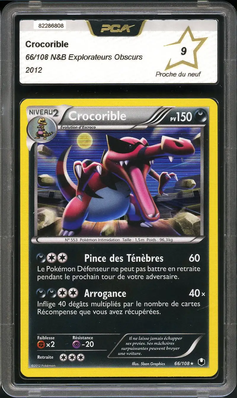 PCA 9 Crocorible Holo