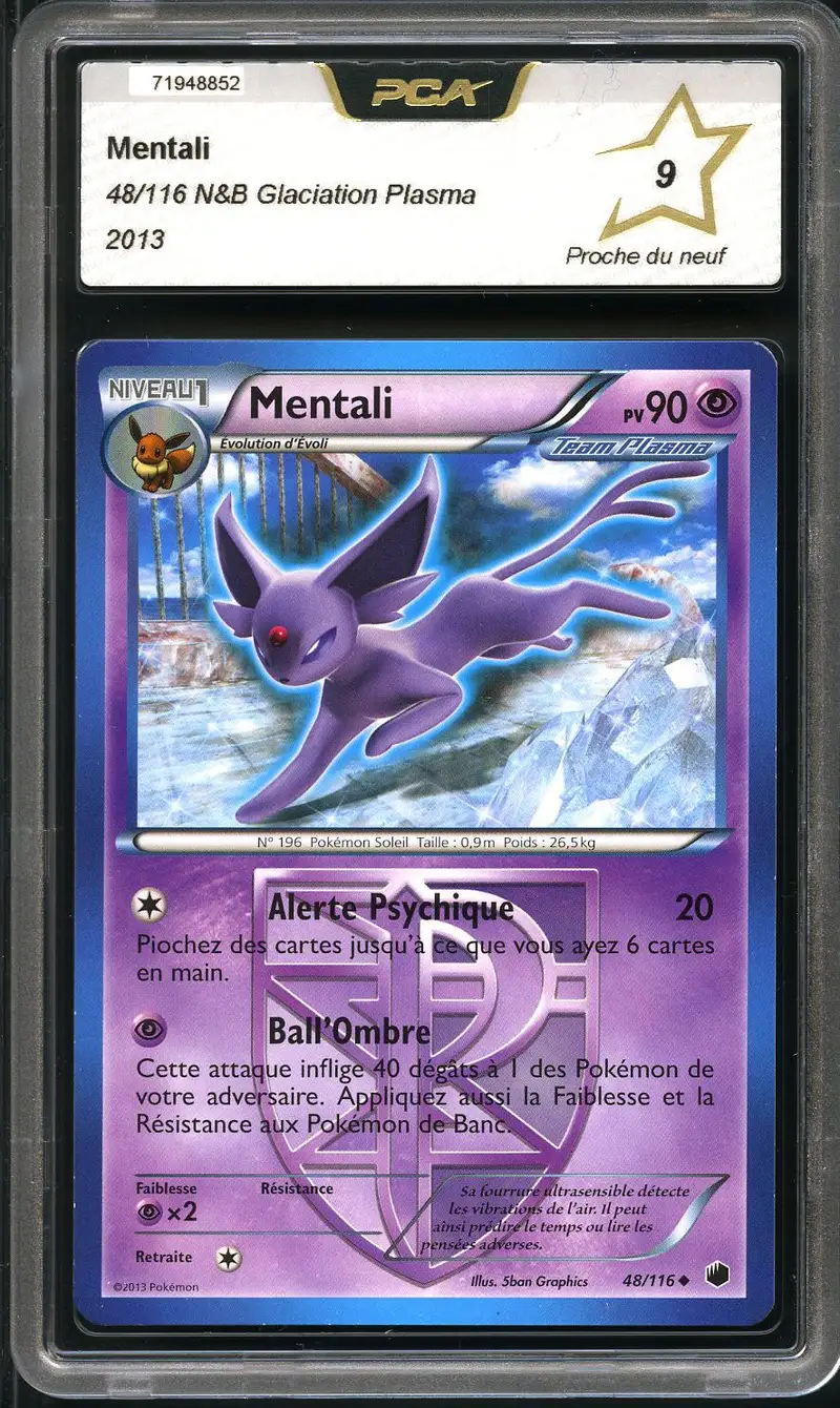 PCA 9 Mentali