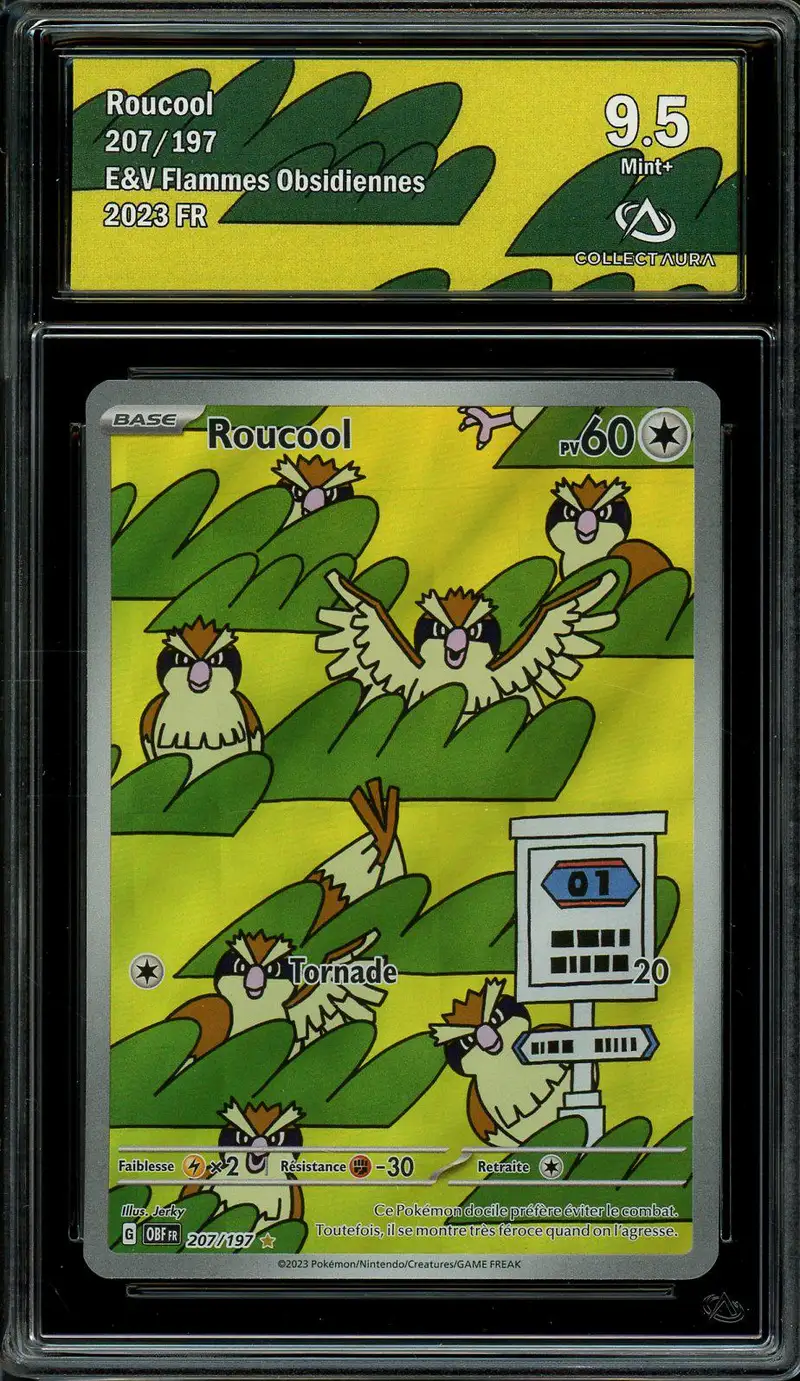 CA 9.5 Roucool