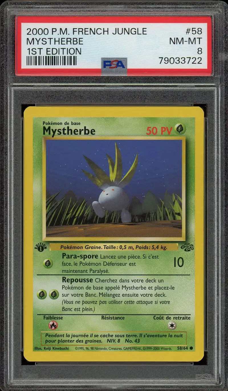 PSA 8 Mystherbe