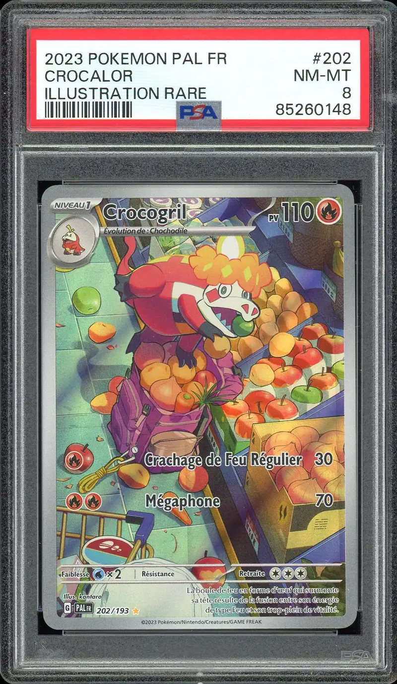 PSA 8 Crocogril