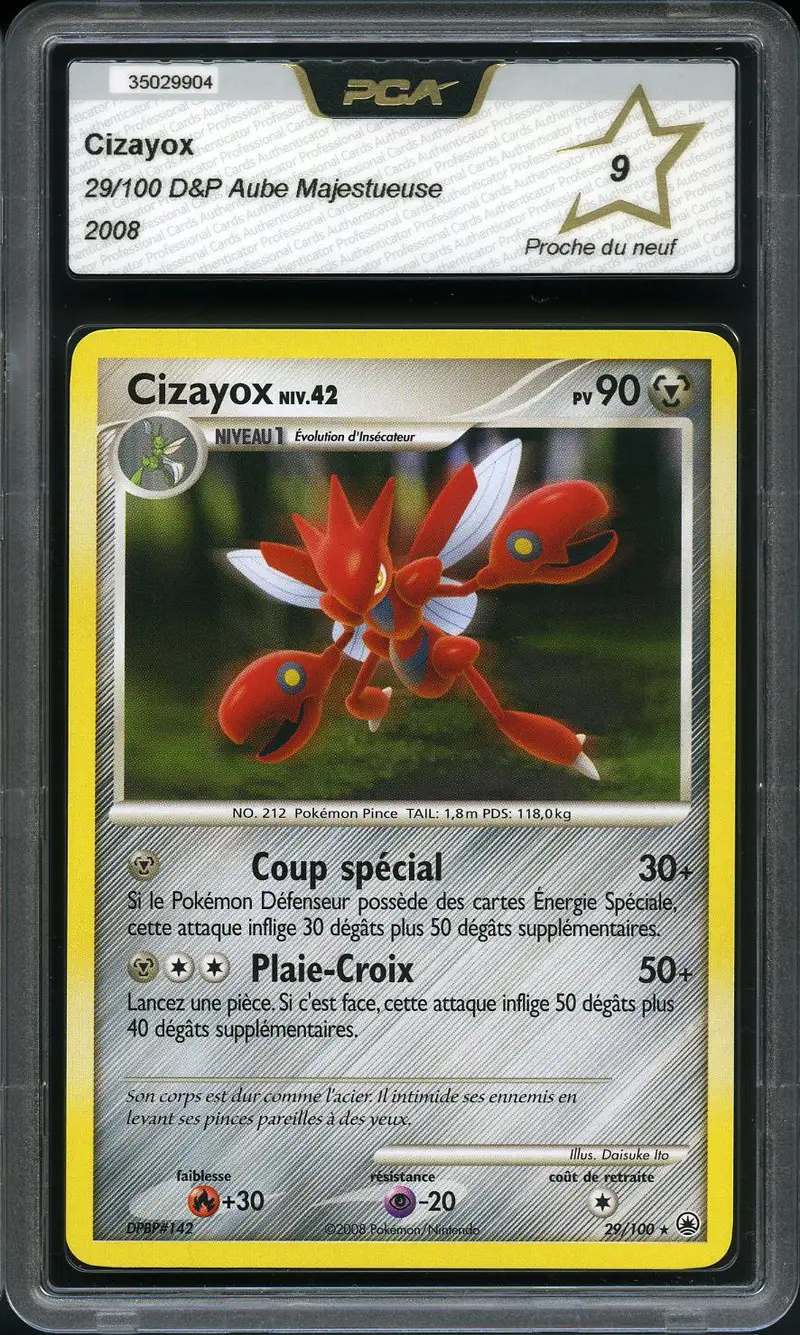 PCA 9 Cizayox