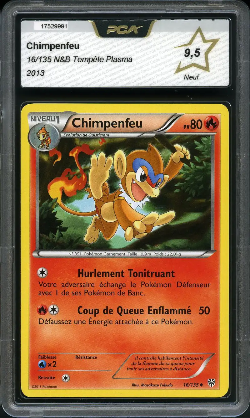 PCA 9.5 Chimpenfeu