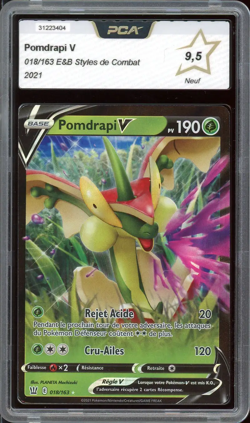 PCA 9.5 Pomdrapi V