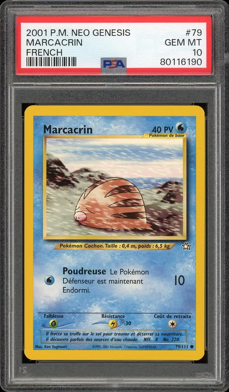 PSA 10 Marcacrin