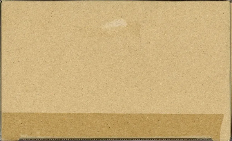 Case Booster Blister OP-11 Des Poings Vifs Comme L'Eclair