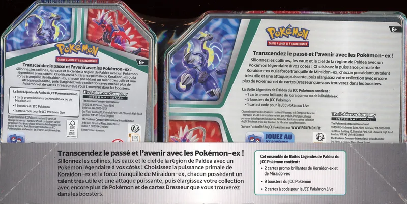 Ensemble de 2 Pokébox Ex