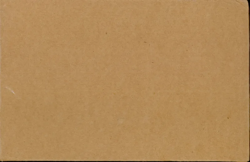 Case Booster Blister EV3 Flammes Obsidiennes