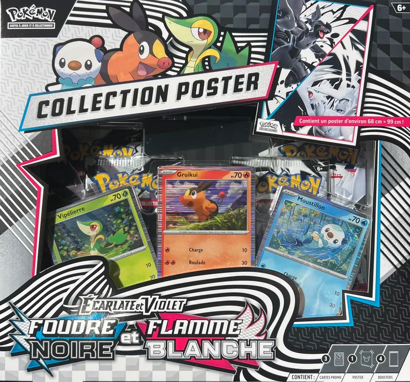 Coffret Collection Poster EV10.5 Foudre Noire et Flamme Blanche