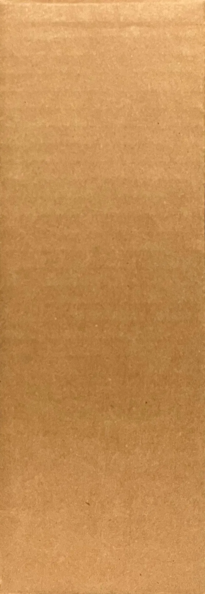 Case de Display Lorcana Premier Chapitre Trésor des Illumineurs