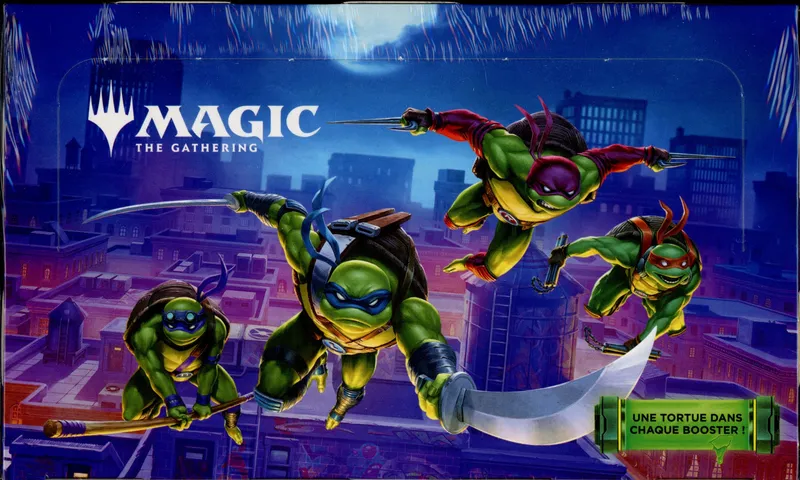Display Magic Tortues Ninja