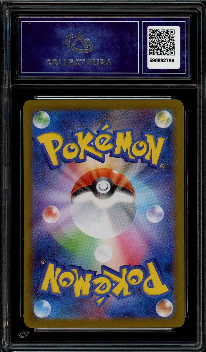 CA 10 Zoroark