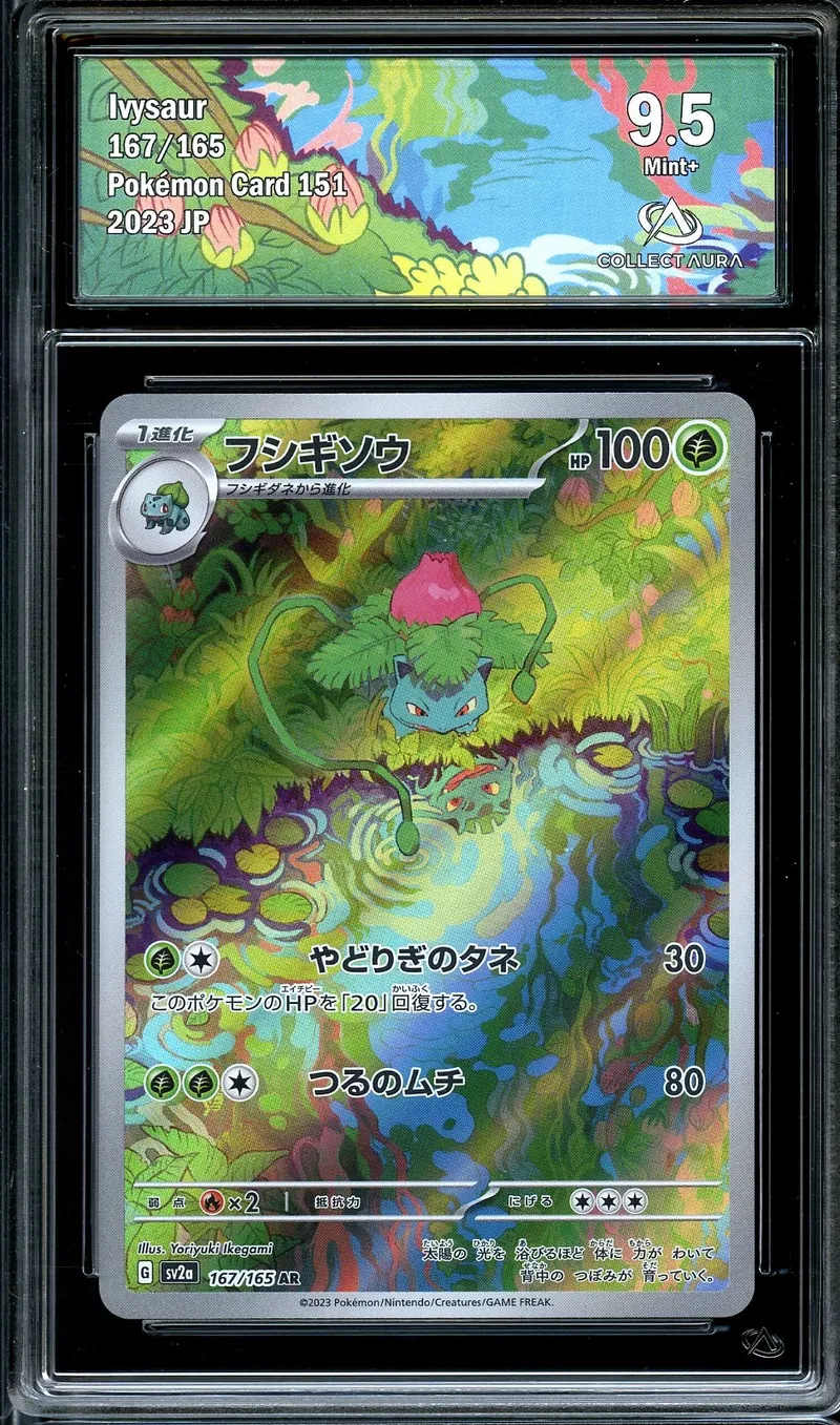 CA 9.5 Ivysaur