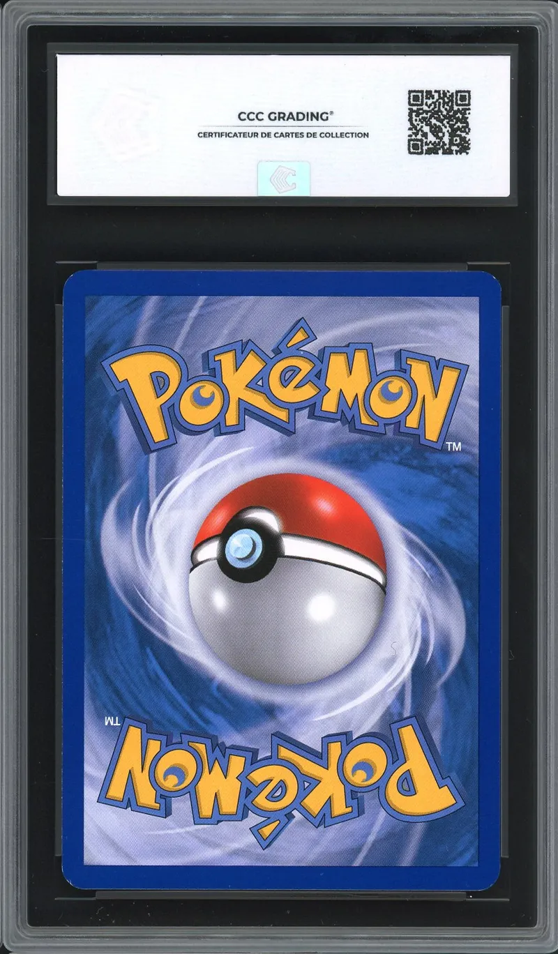 CCC 9 Carabaffe Reverse