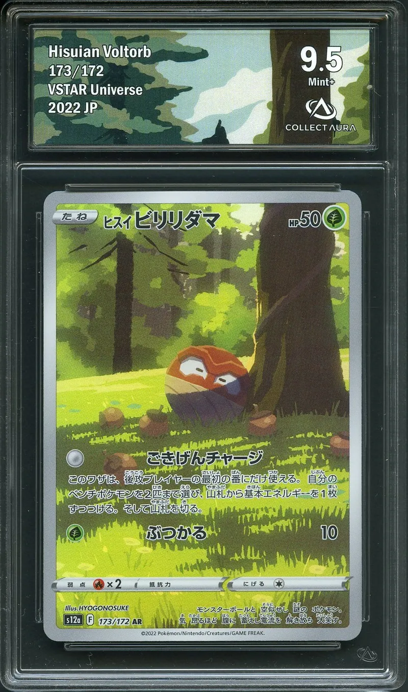 CA 9.5 Hisuian Voltorb