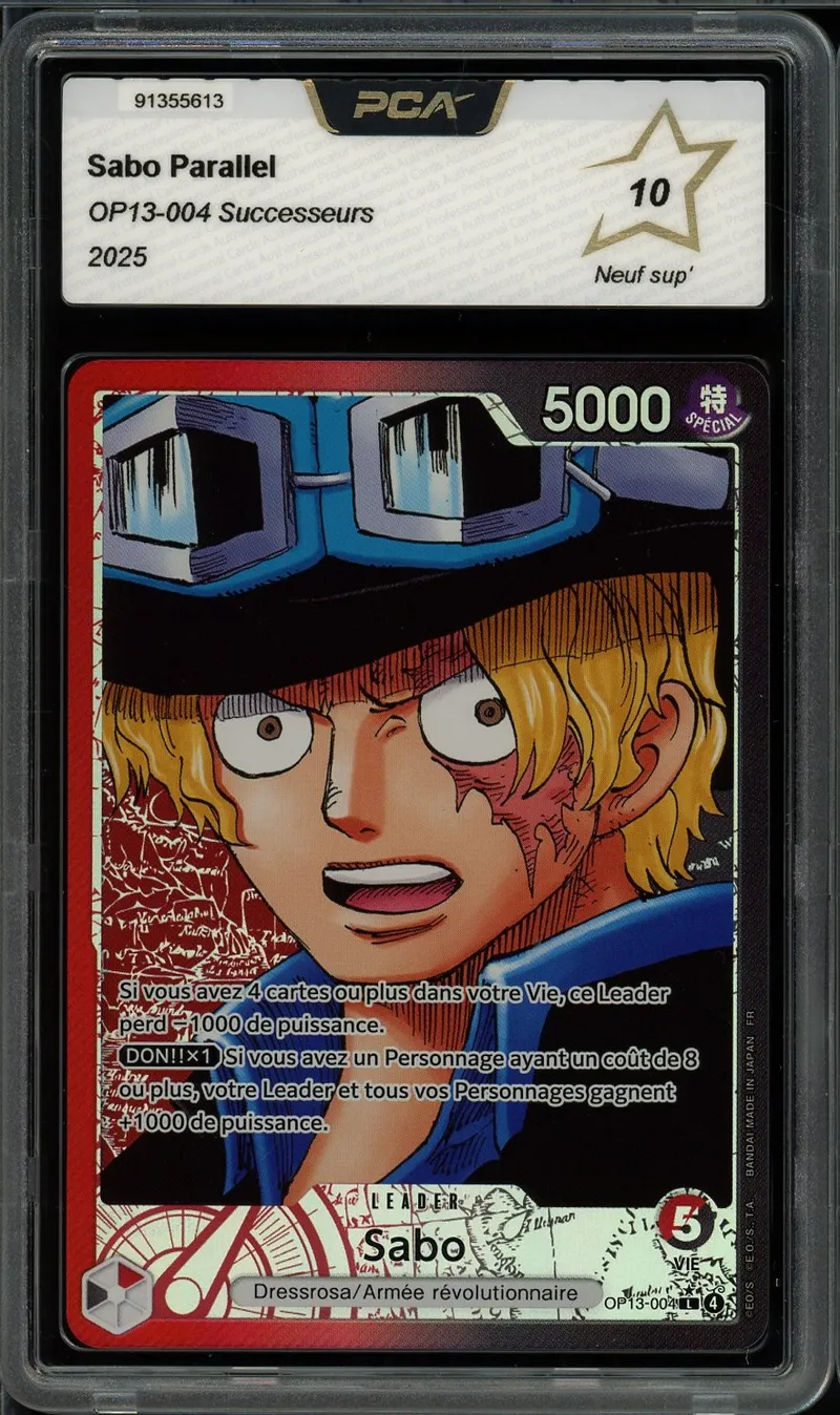 PCA 10 Sabo