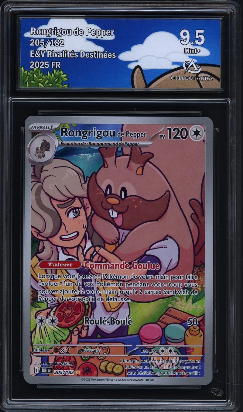 CA 9.5 Rongrigou de Pepper