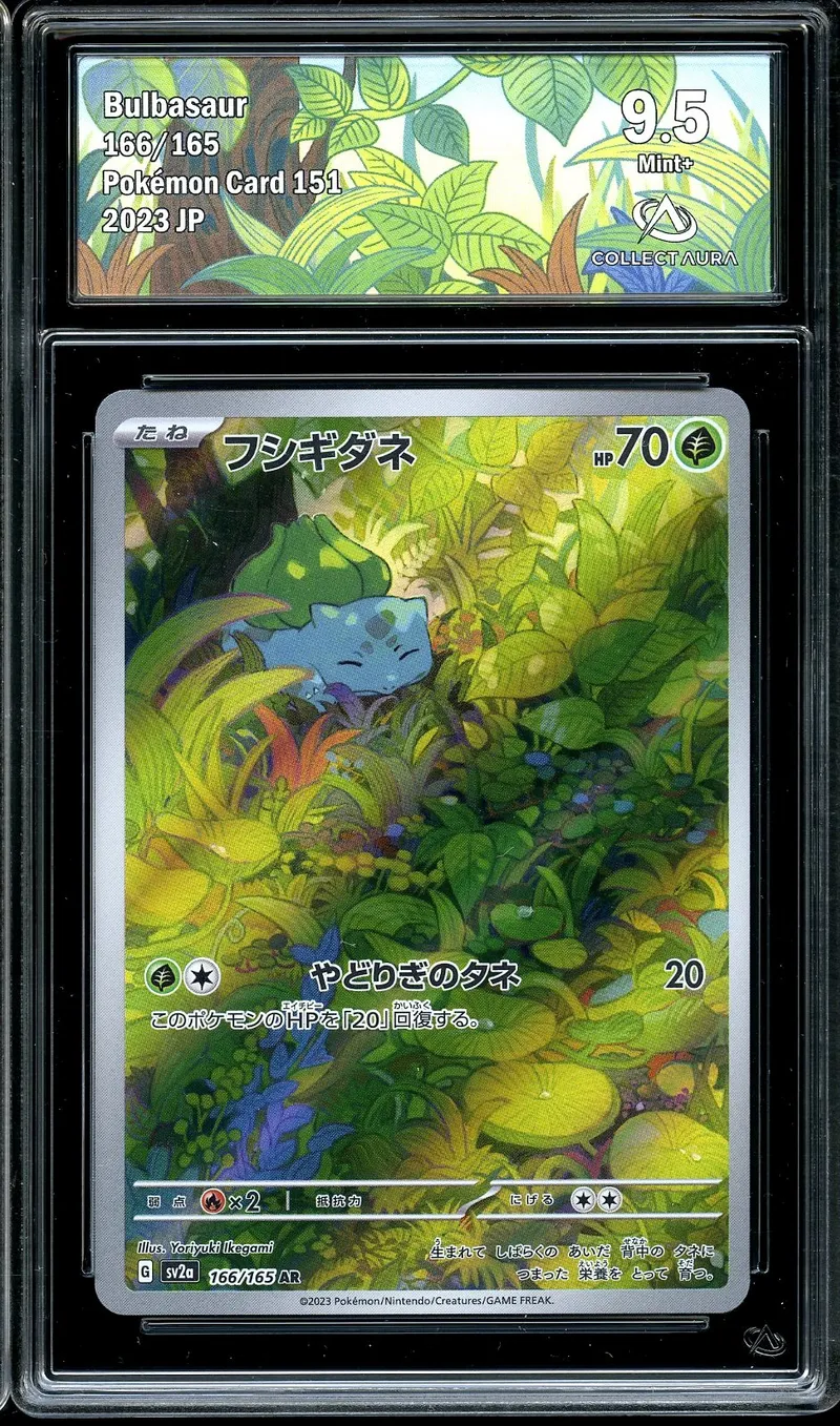 CA 9.5 Bulbasaur