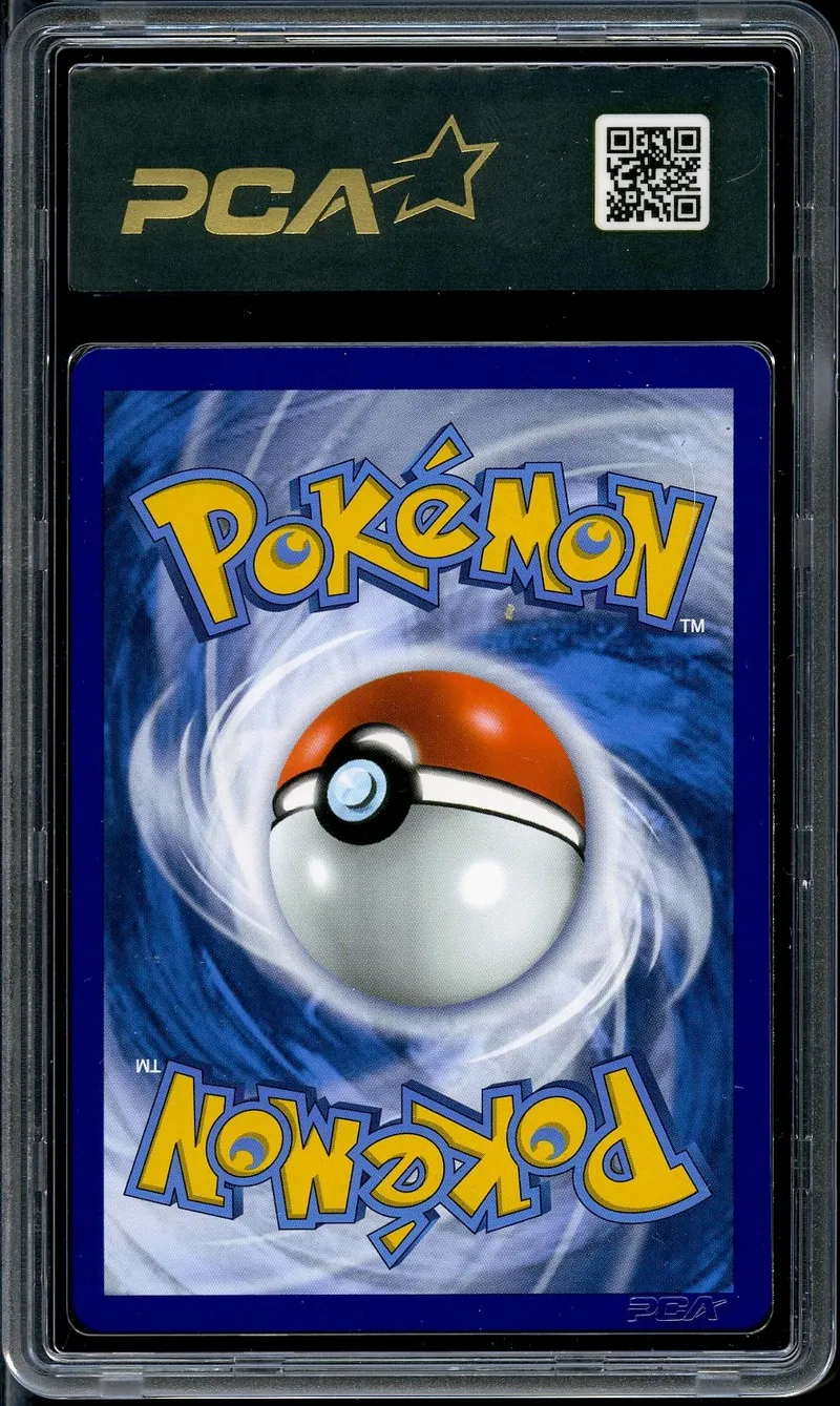 PCA 9.5 Shifours Mille Poings VMax