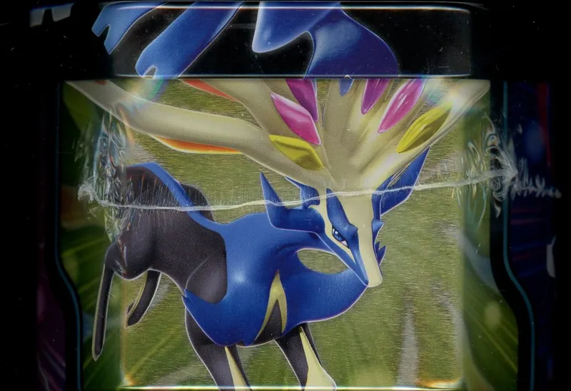 Pokébox Xerneas Ex