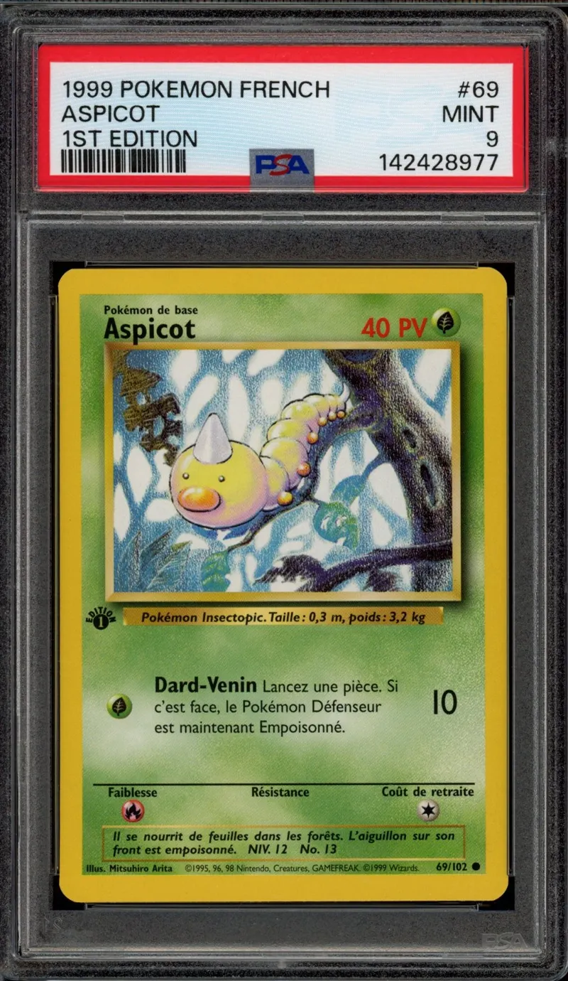 PSA 9 Aspicot