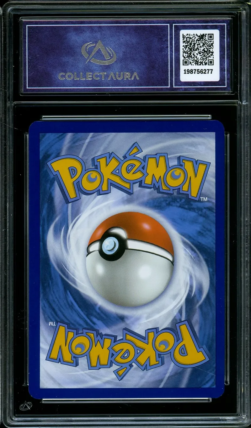 CA 9.5 Sœur Parasol