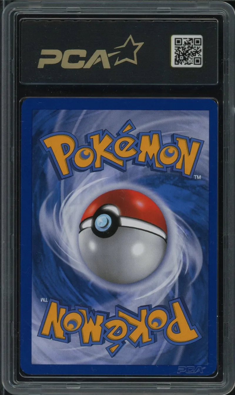 PCA 9 Tiplouf Reverse