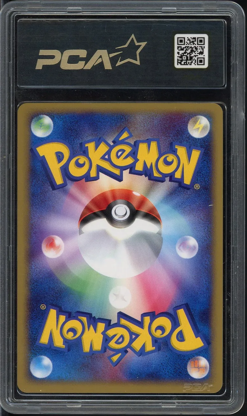 PCA 9.5 Mightyena Holo