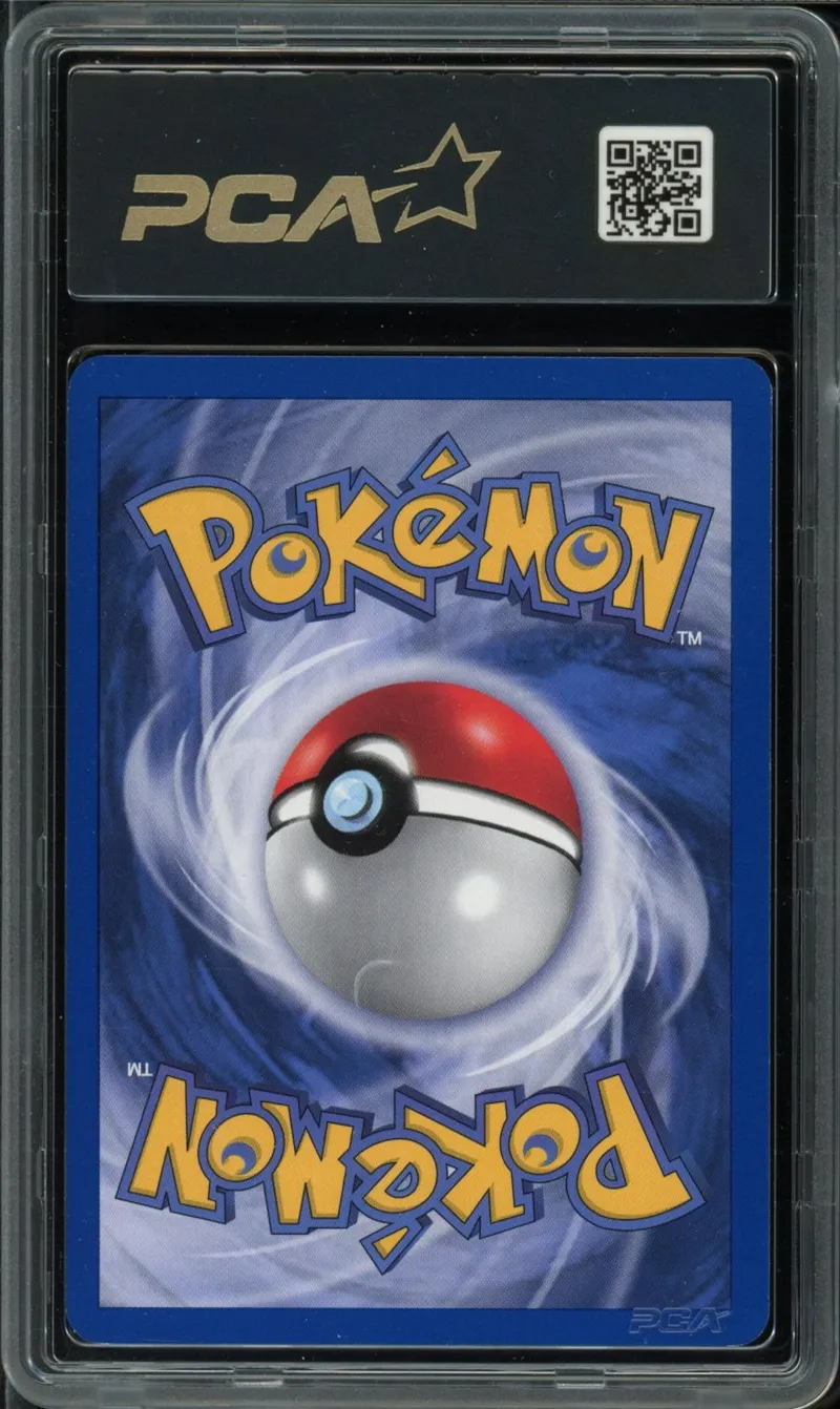 PCA 9 Le Projet de M. Rochard