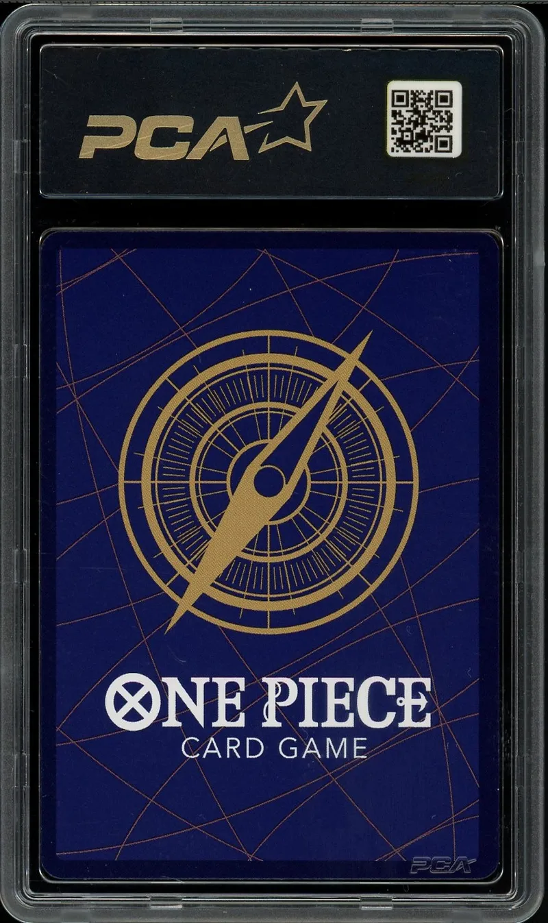 PCA 9.5 S'il est aussi fort que vous le dites...