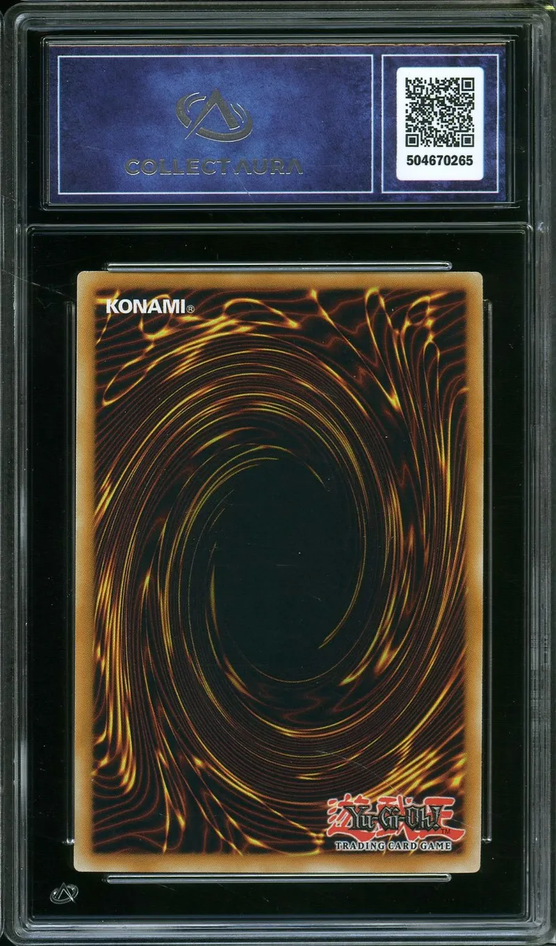 CA 9.5 Dragon Blanc Aux Yeux Bleus