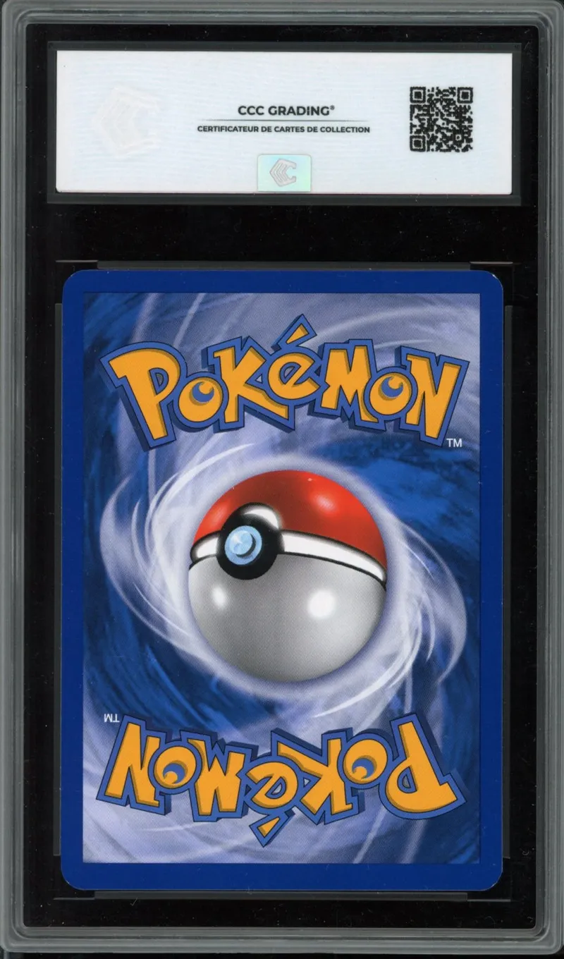 CCC 9 Mysdibule Reverse