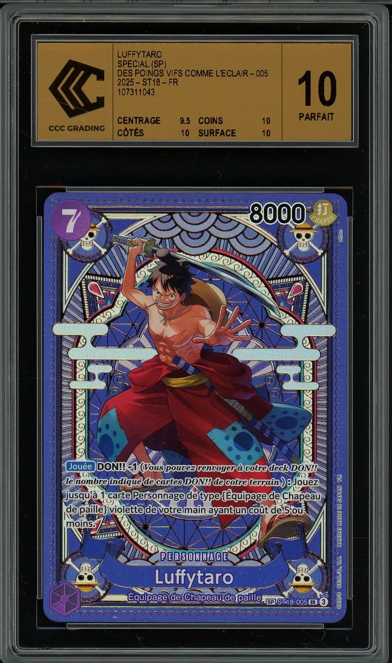 CCC 10 Luffytaro