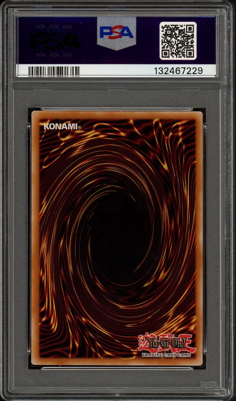 PSA 8 Dragon blanc aux yeux bleus