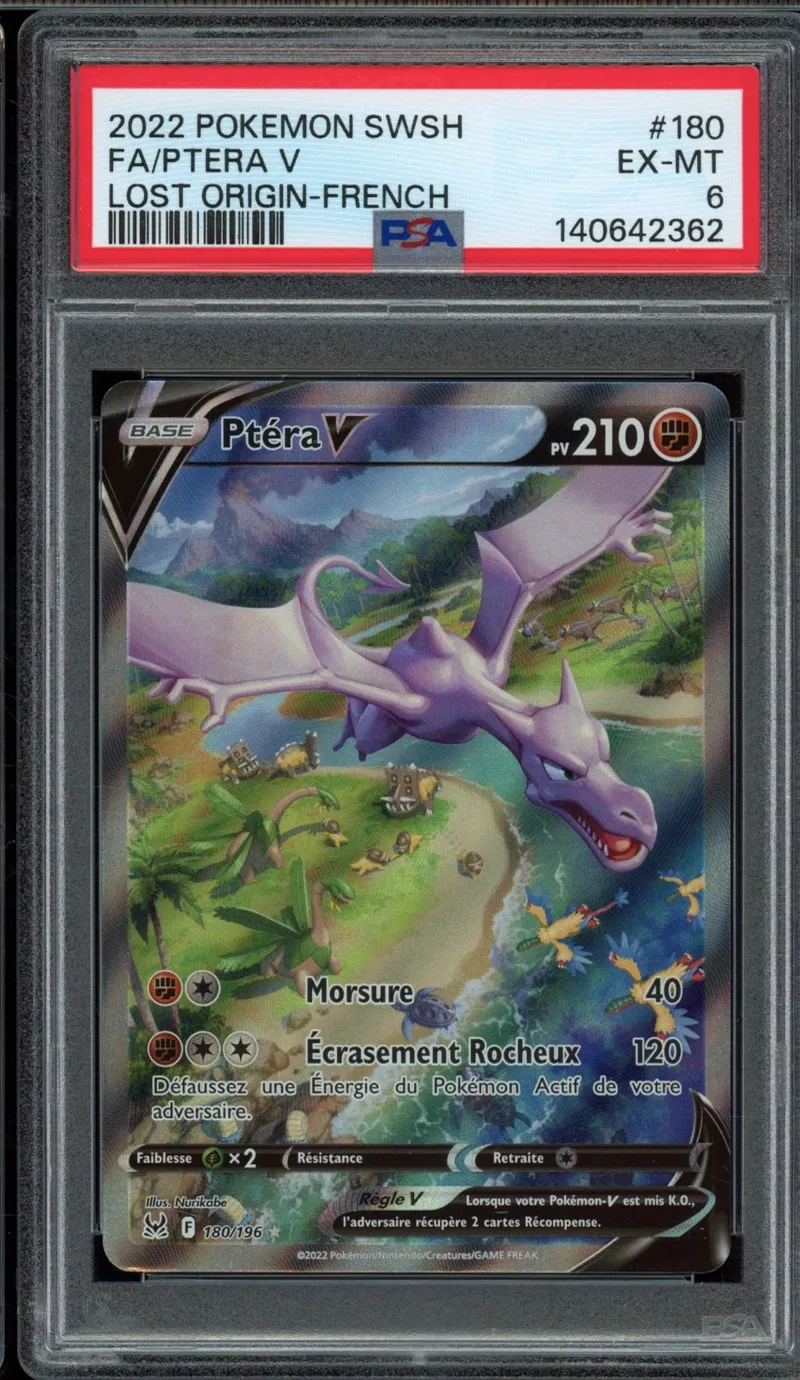 PSA 6 Ptéra V