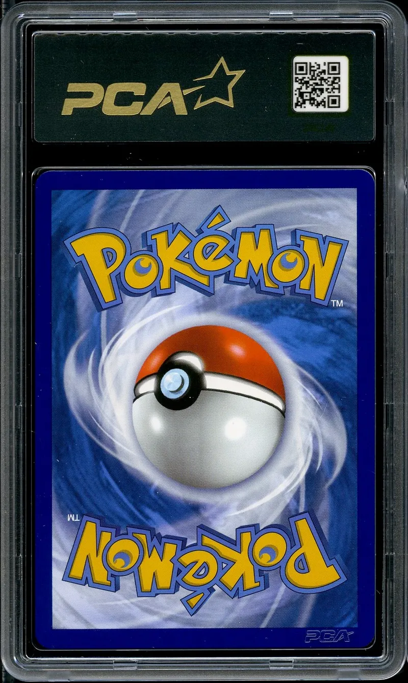 PCA 9.5 Dracaufeu VStar Rainbow