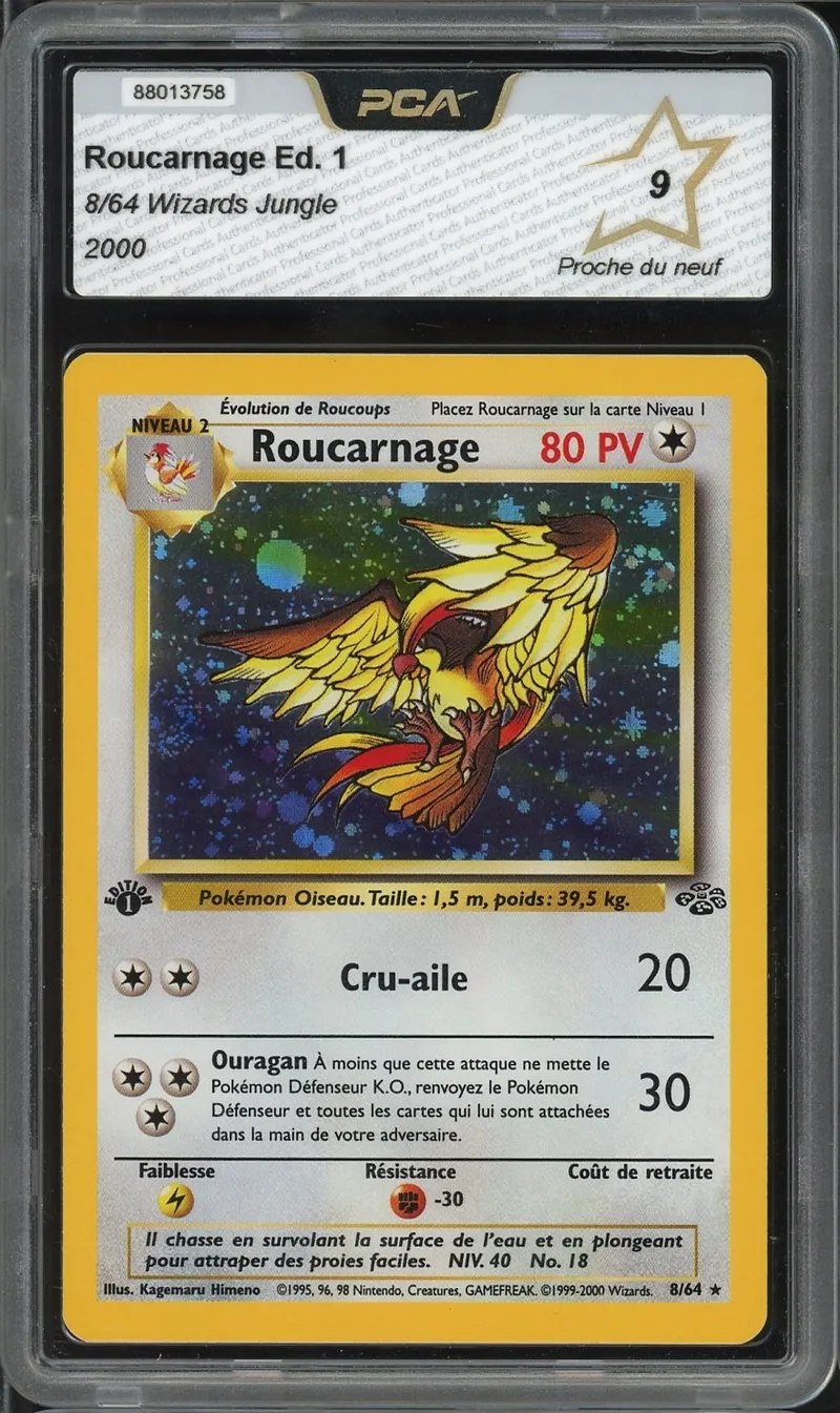 PCA 9 Roucarnage Holo