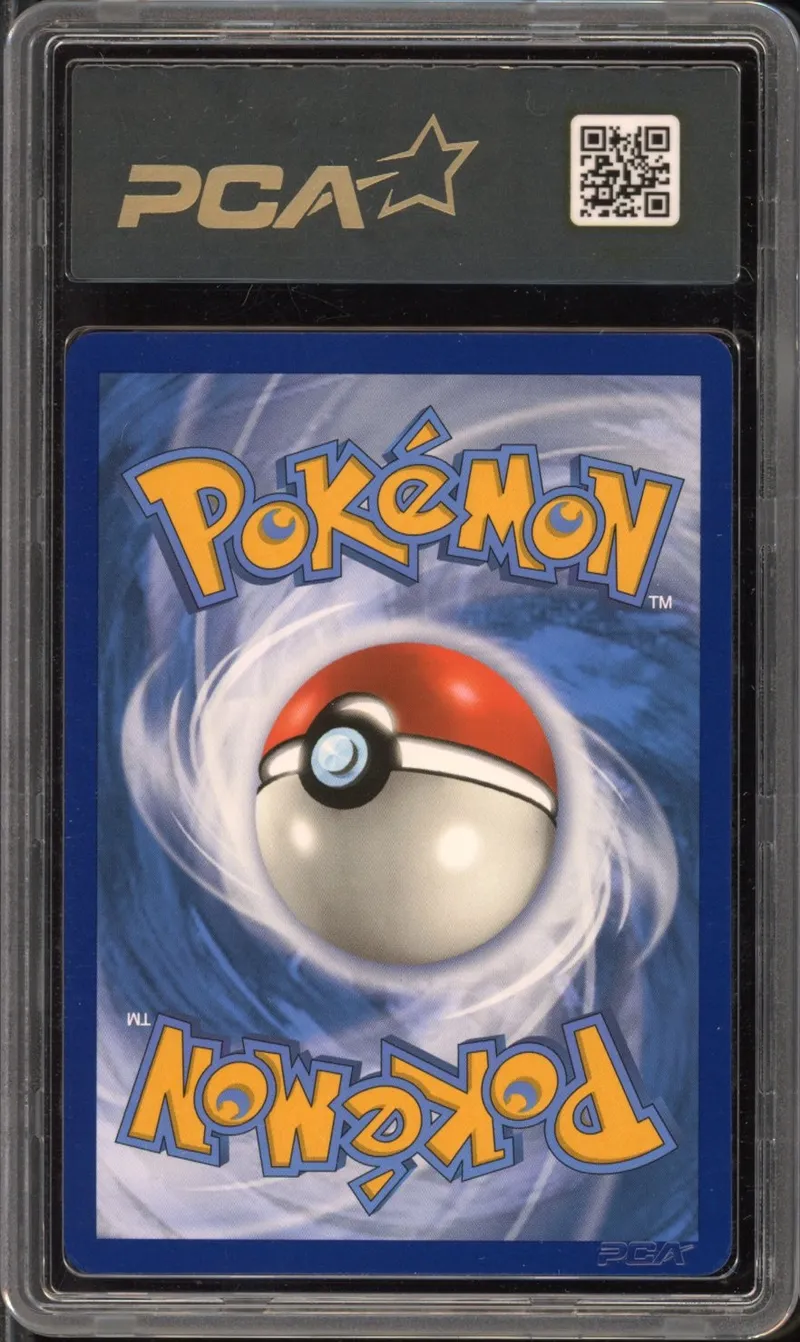 PCA 9.5 Shifours Mille Poings V