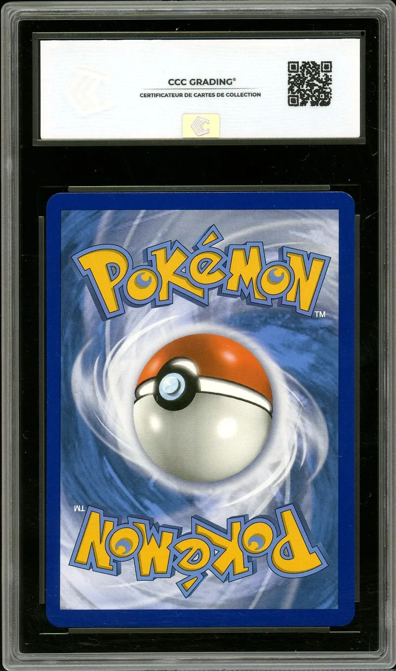 CCC 9 Shifours Mille Poings V