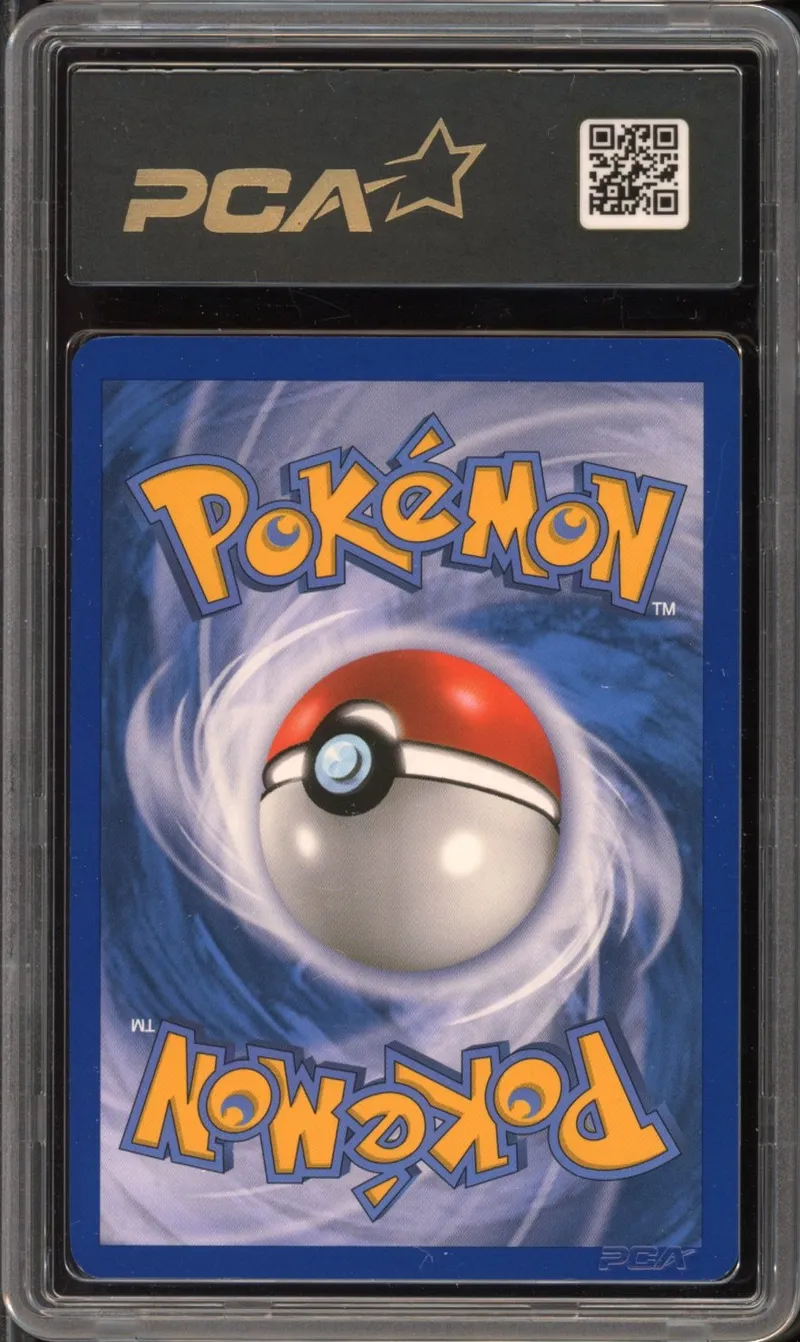 PCA 9 Vipélierre Holo