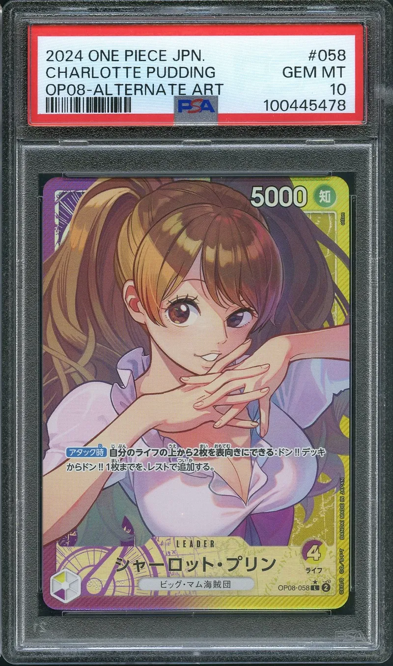 PSA 10 Charlotte Pudding