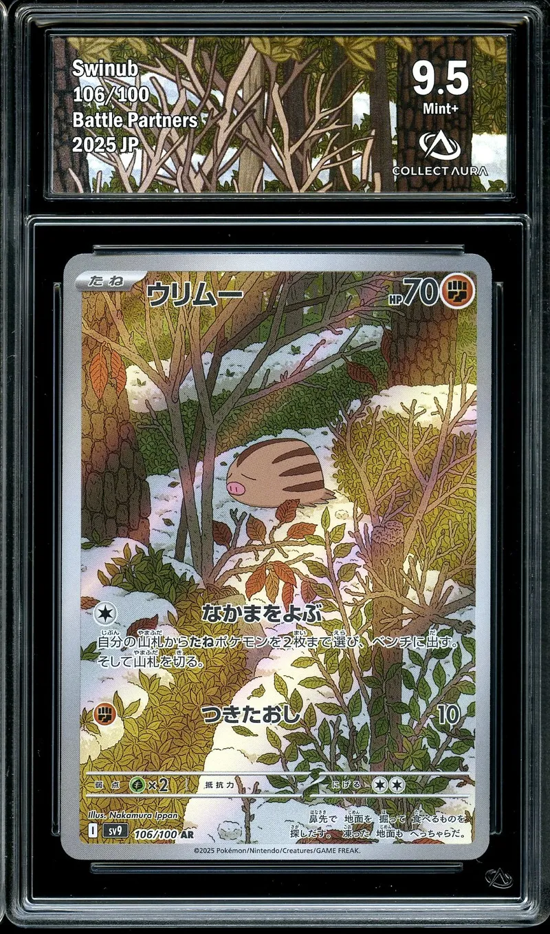 CA 9.5 Swinub