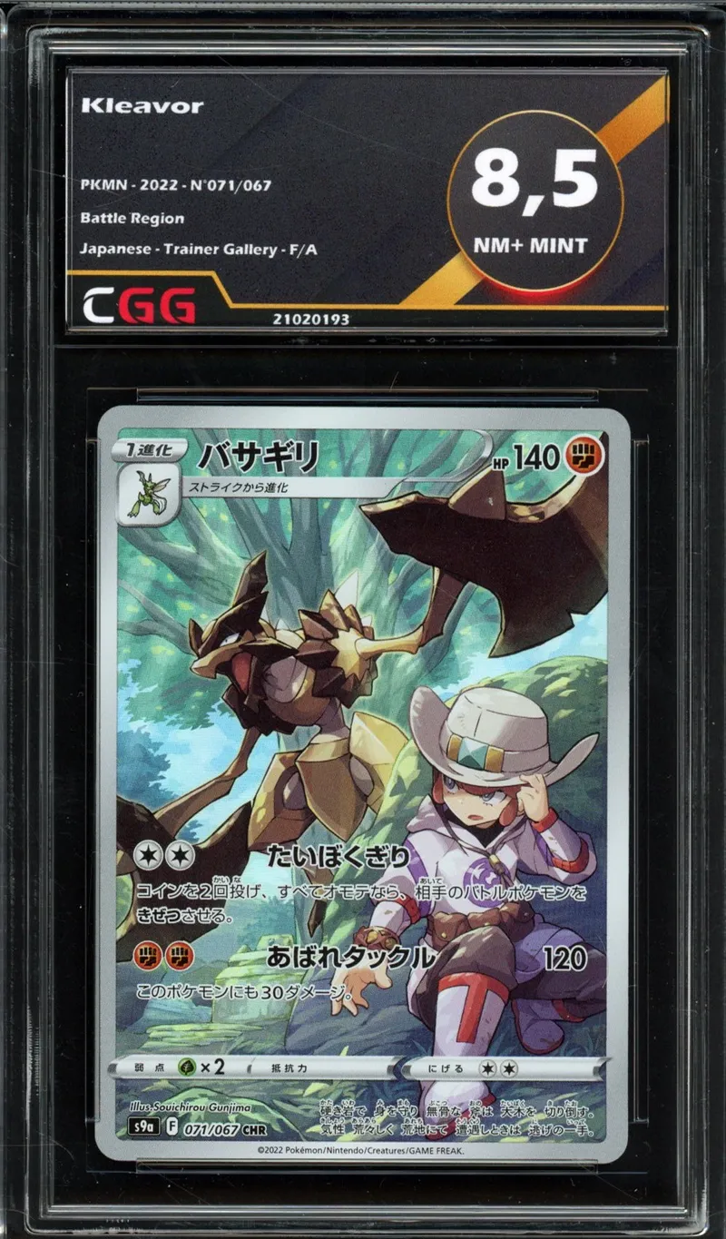 CGG 8.5 Kleavor