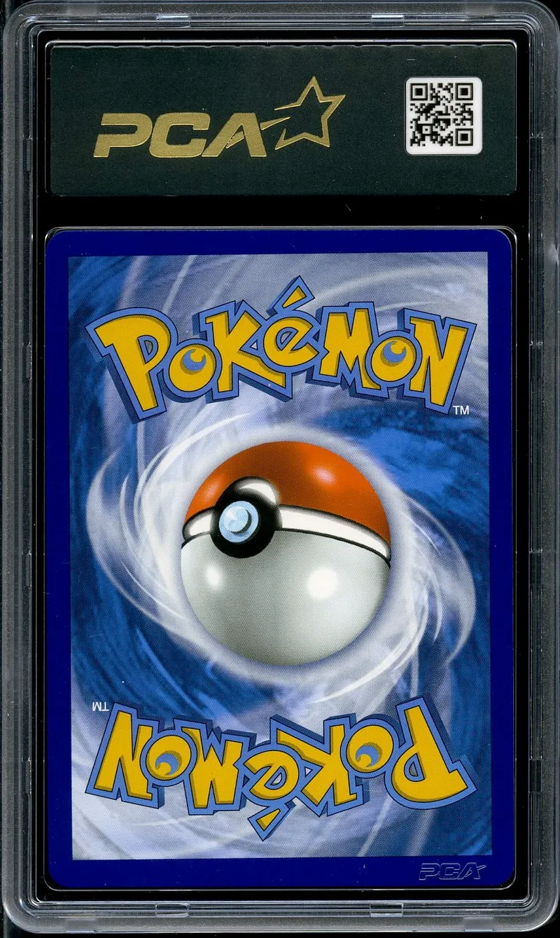 PCA 9.5 Shifours Poing Final VMax