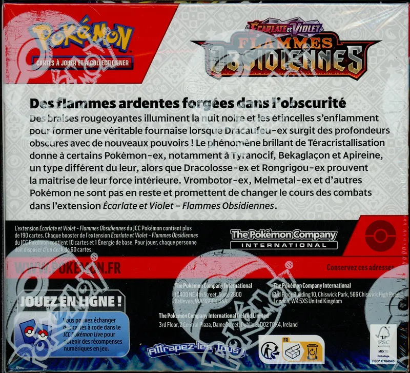 Display EV3 Flammes Obsidiennes