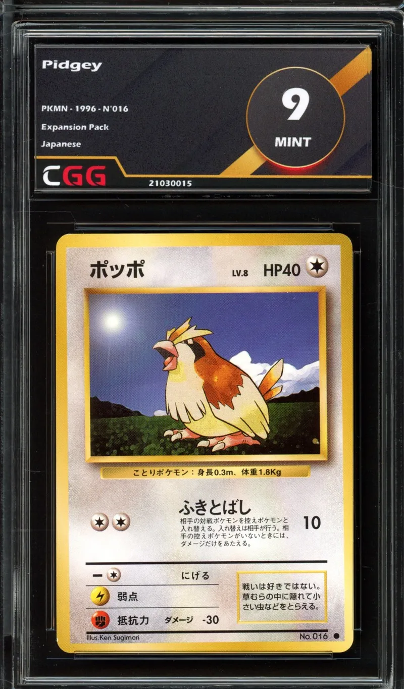 CGG 9 Pidgey
