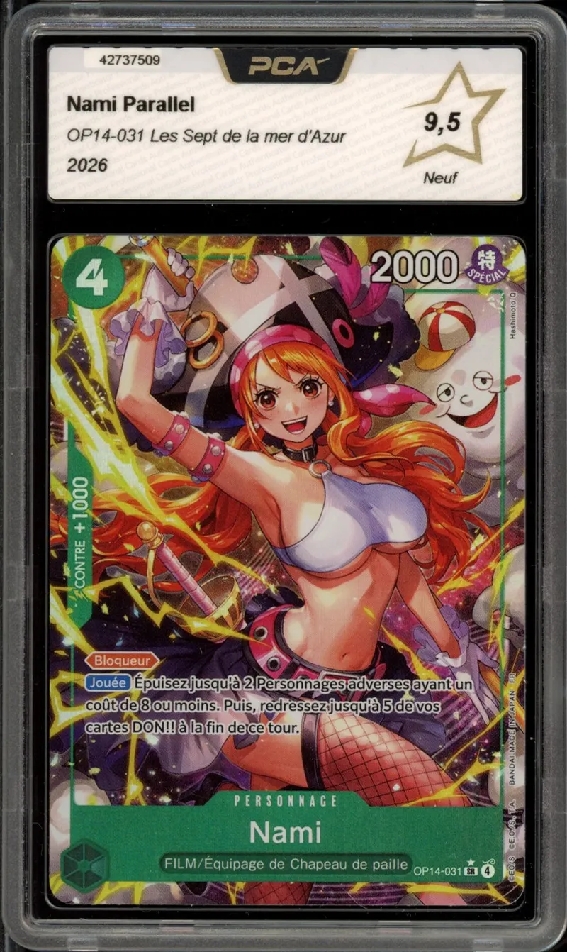 PCA 9.5 Nami