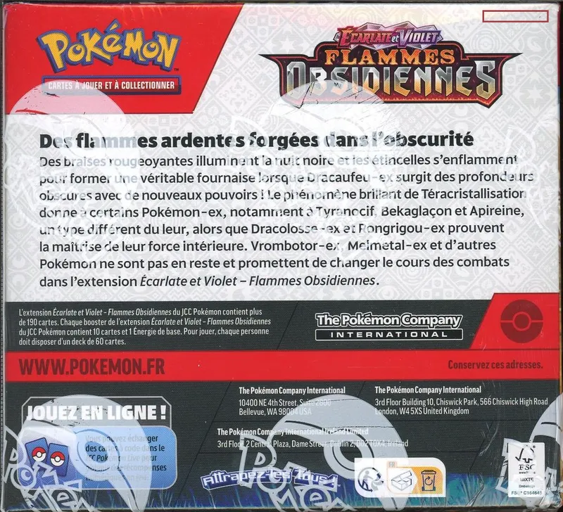 Display EV3 Flammes Obsidiennes