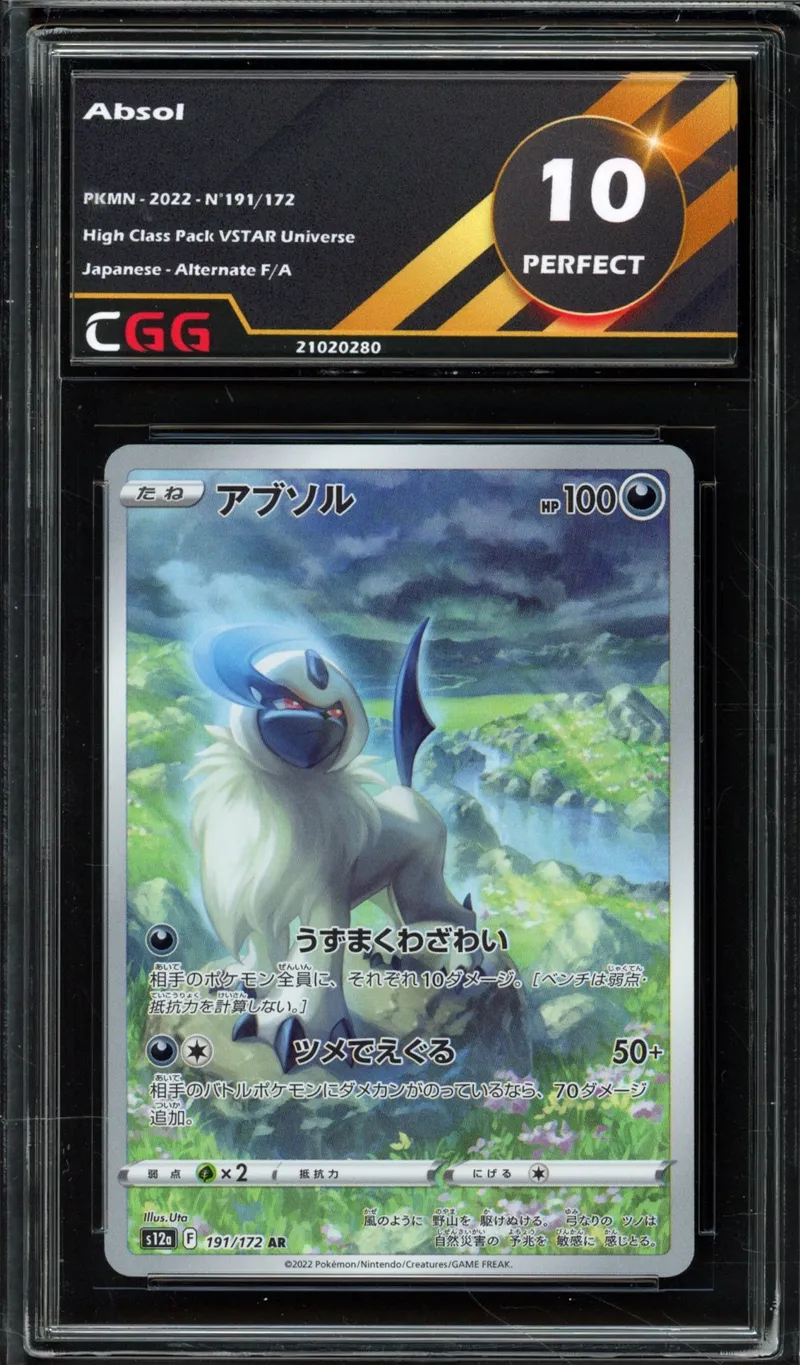 CGG 10 Absol