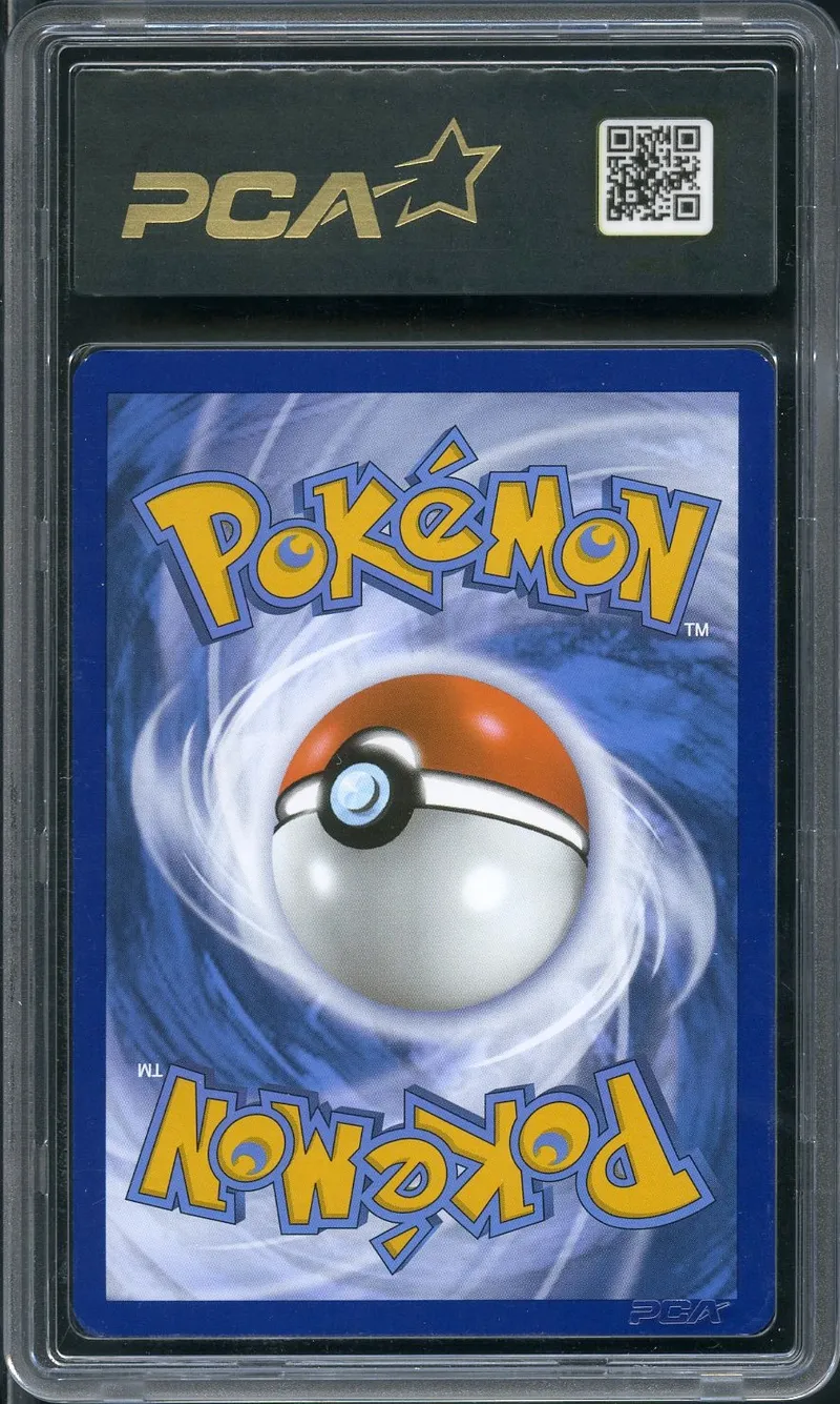 PCA 9.5 Plan du Professeur Turum